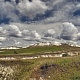 Арбуга. Шиловская лесостепь-2